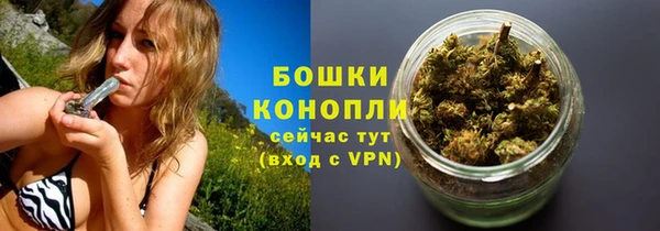 ECSTASY Гусев