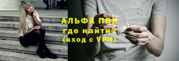 ECSTASY Гусев