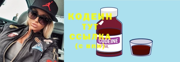 мяу мяу кристалл Гусь-Хрустальный