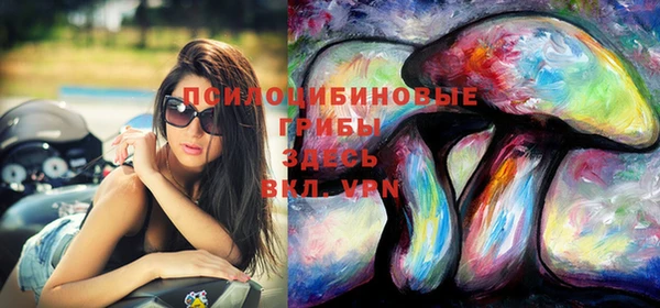 ECSTASY Гусев