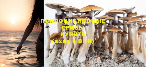 мяу мяу кристалл Гусь-Хрустальный
