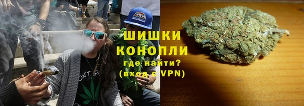 ECSTASY Гусев