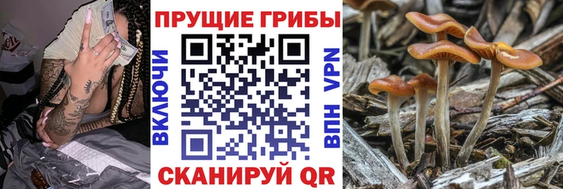 Купить закладки  Юрюзань  Псилоцибиновые грибы мухоморы 